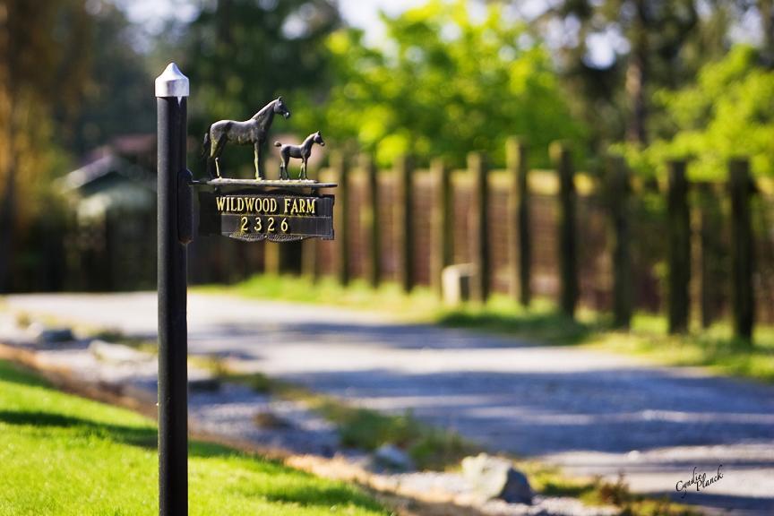Wildwood Farm Bed & Breakfast Oak Harbor Luaran gambar